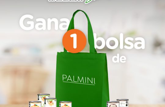 Reglamento — Dinámica Palmini